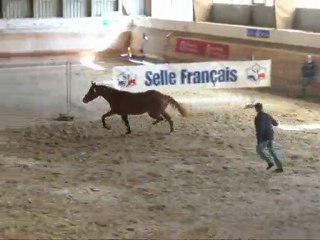 Présentation Rosières Tema 4