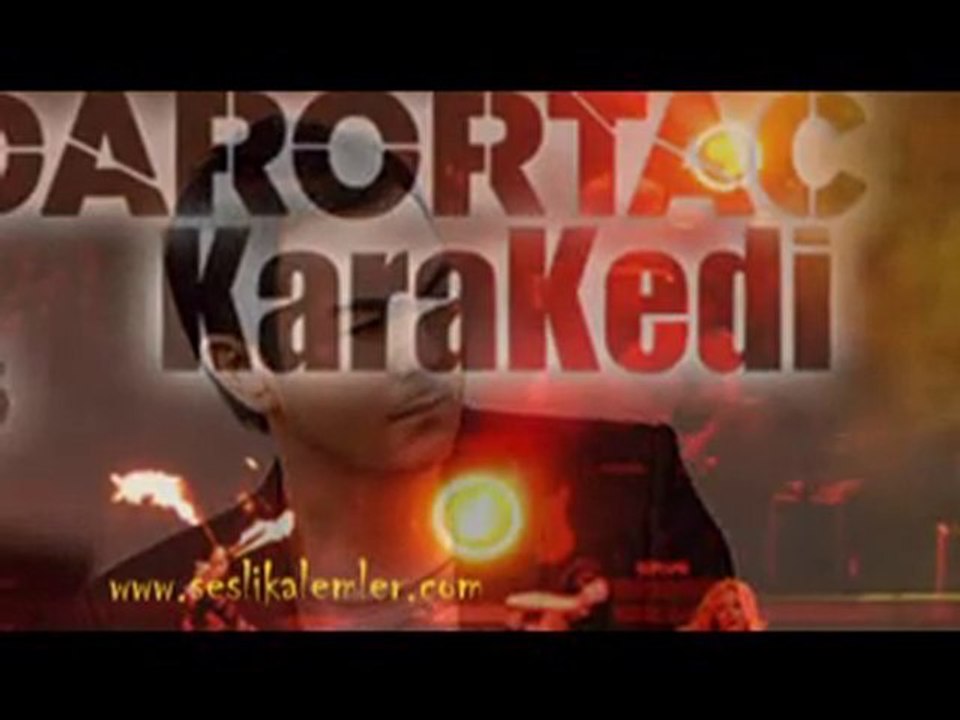 Serdar Ortaç - Üzgünüm ( www.seslikalemler.com )