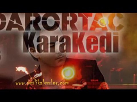 Serdar Ortaç - Üzgünüm ( seslikalemler.com )