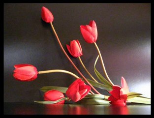 can yarim sanadır EY YARRRRR