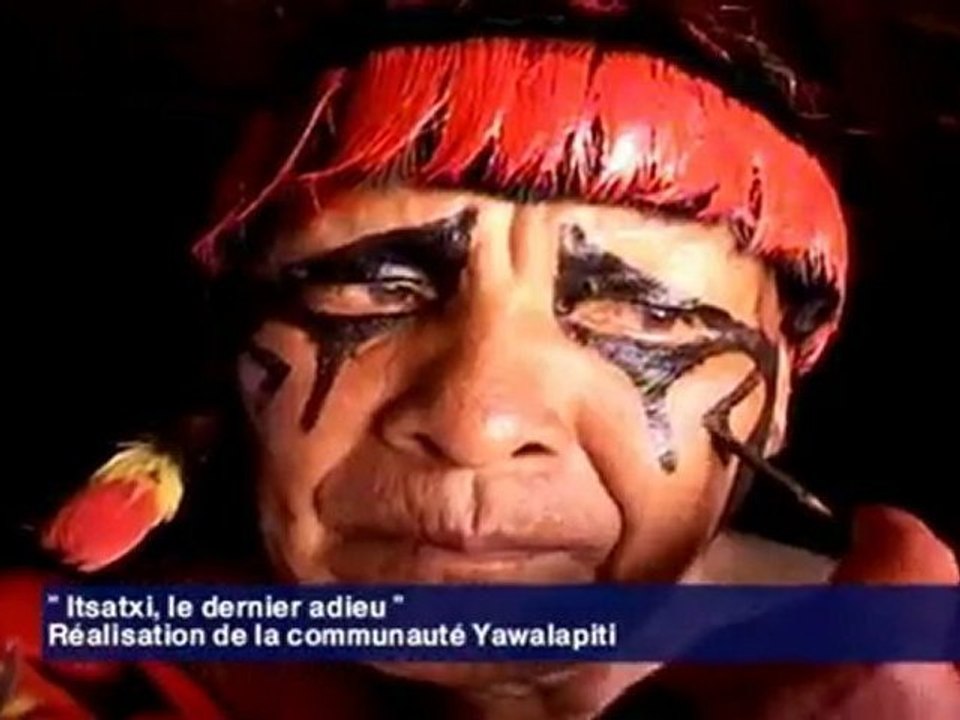 Avatar en vrai - Leçons pour Hommes Blancs (complément)