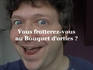 Bouquet d'orties- la secte des Blaireaux - B.A.