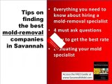 Mold Remediation Contractors Savannah - How to Find Best Mo