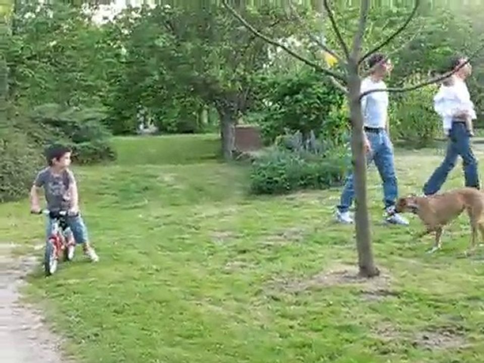 Tao en Like a Bike jumper (draisienne)