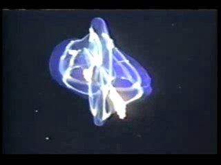 Işık saçan denizdeki canlılar