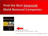 Savannah Mold Removal Companies - Protect Yourself from Bad