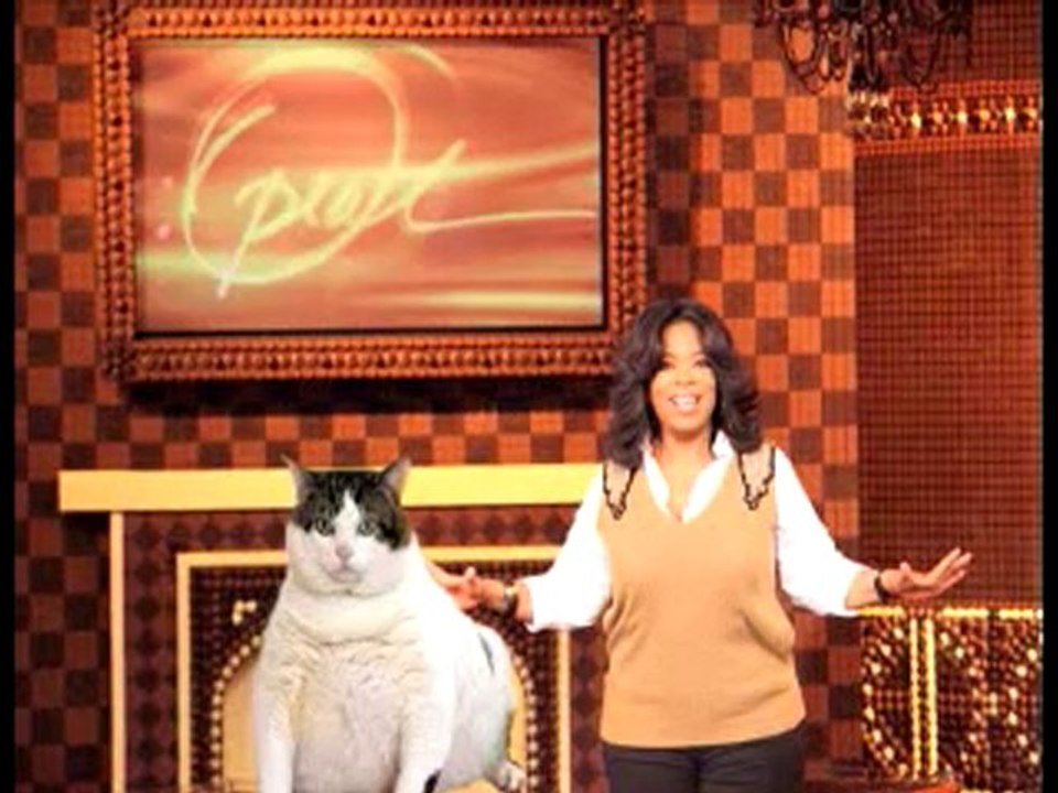TJZEpisode1TrackThatCatFinal