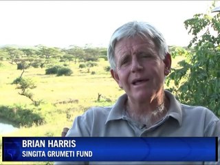 Tanzanian homecoming for endangered rhino species