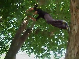 parkour&free running