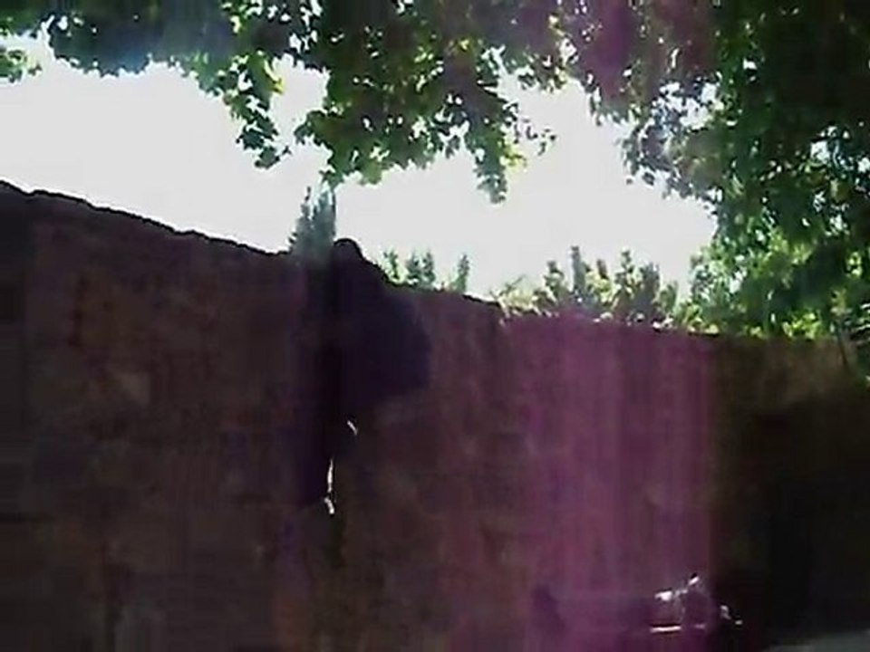 parkour&free running