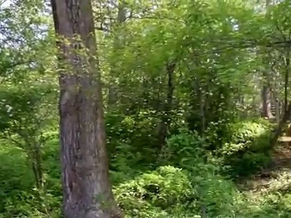 site des fermiers pionniers