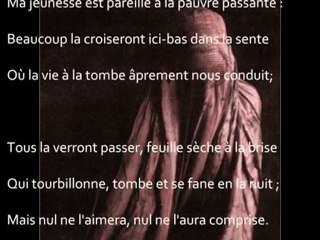 Rondo alla burka  (Claude Lachapelle)