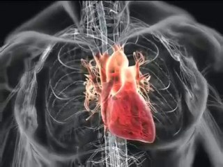 fields of the nephilim - requiem xiii 33