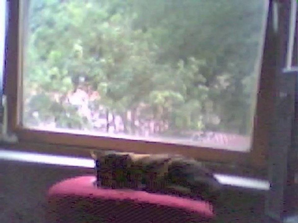 Video 1