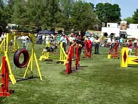 selectif trophée panazol 2010 -jumping 2-nat et pepsi