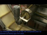 Fiorella - Fabrication de pâtes fraiches