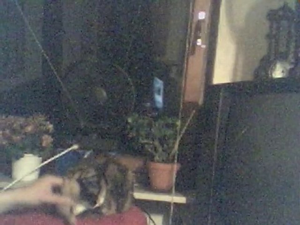 Video 7