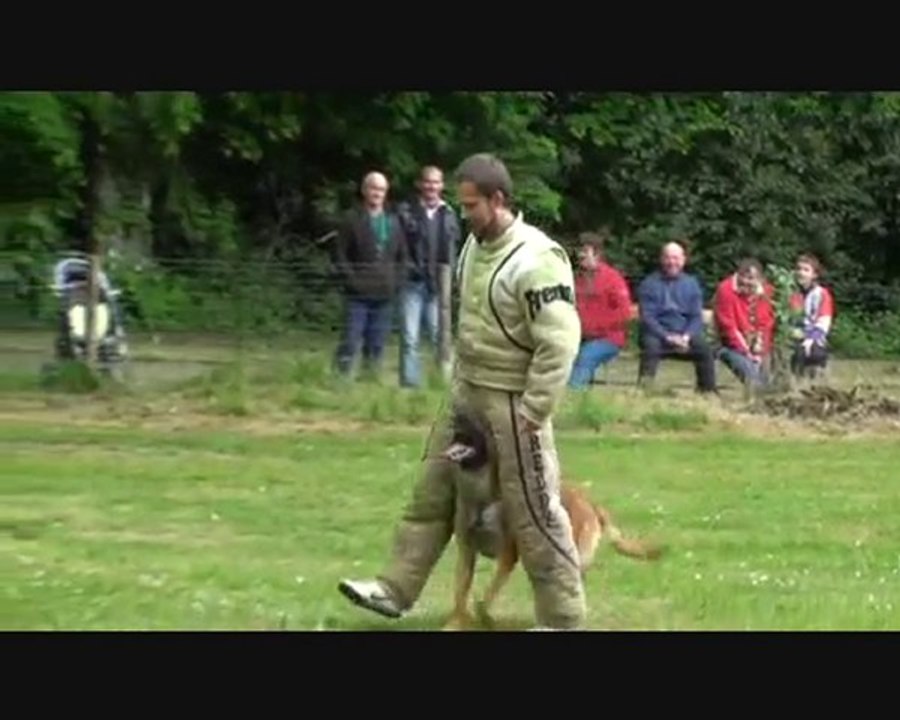 Epreuve de mordant sportive concour de ring 2010