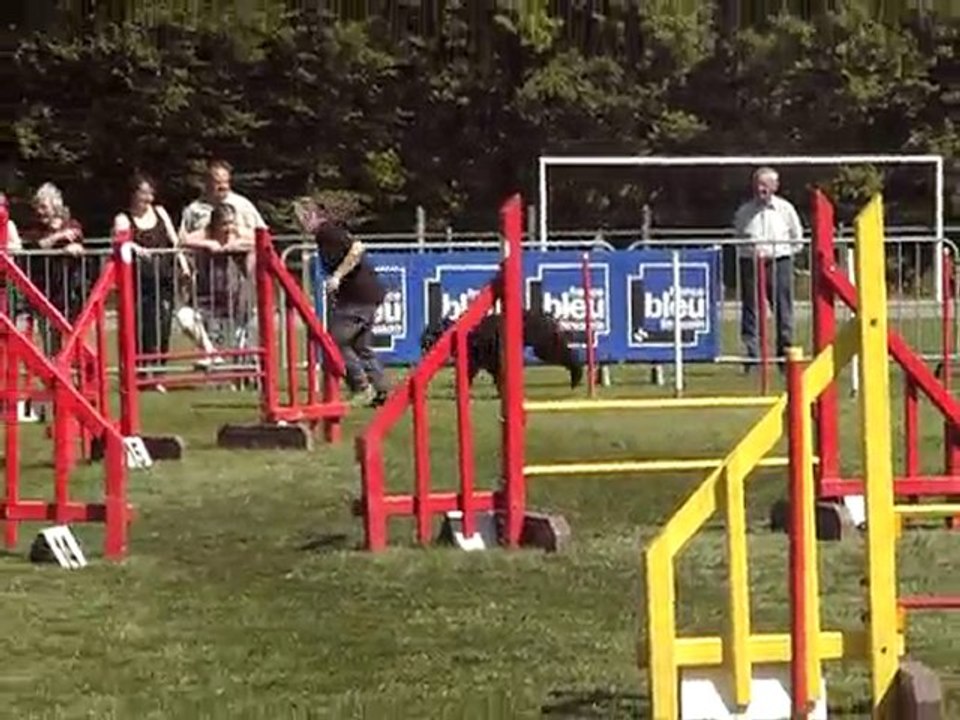 fun jump 4