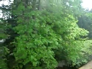 Zinc Strips - Roof Life of Oregon