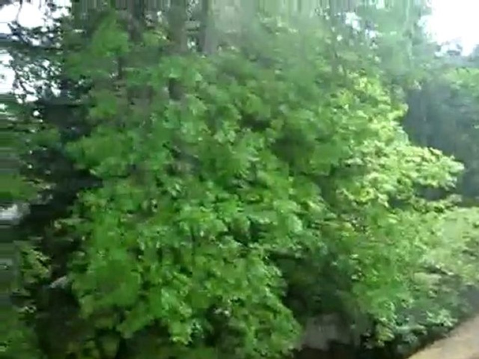 Zinc Strips - Roof Life of Oregon