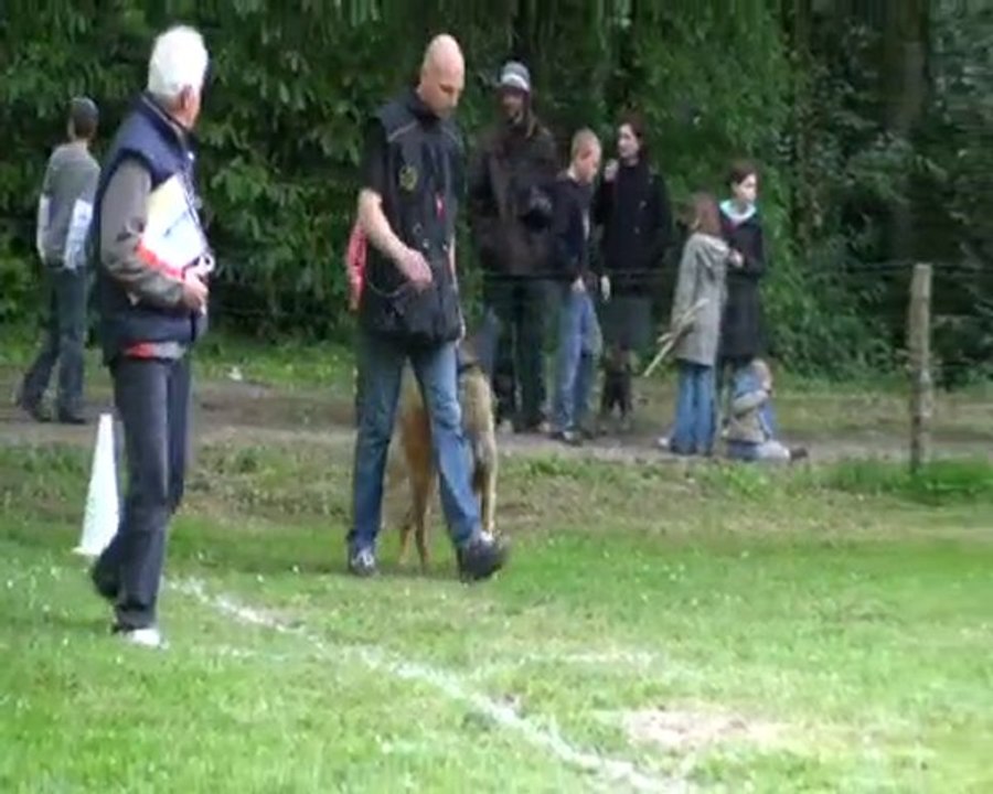 concours de ring 2010 le plat