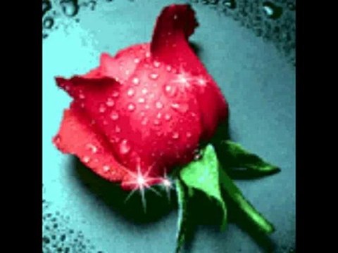 CHEB FOUZI NOUVELLE ALBUM CHIFOU TAXI 2010