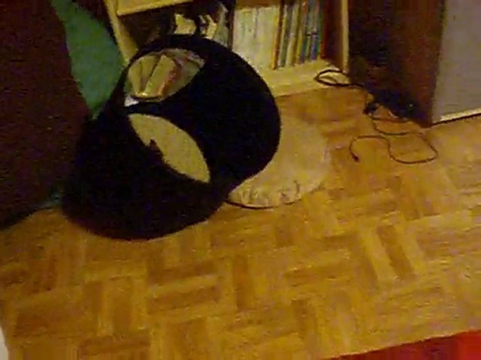 pimousse fait l'acrobate