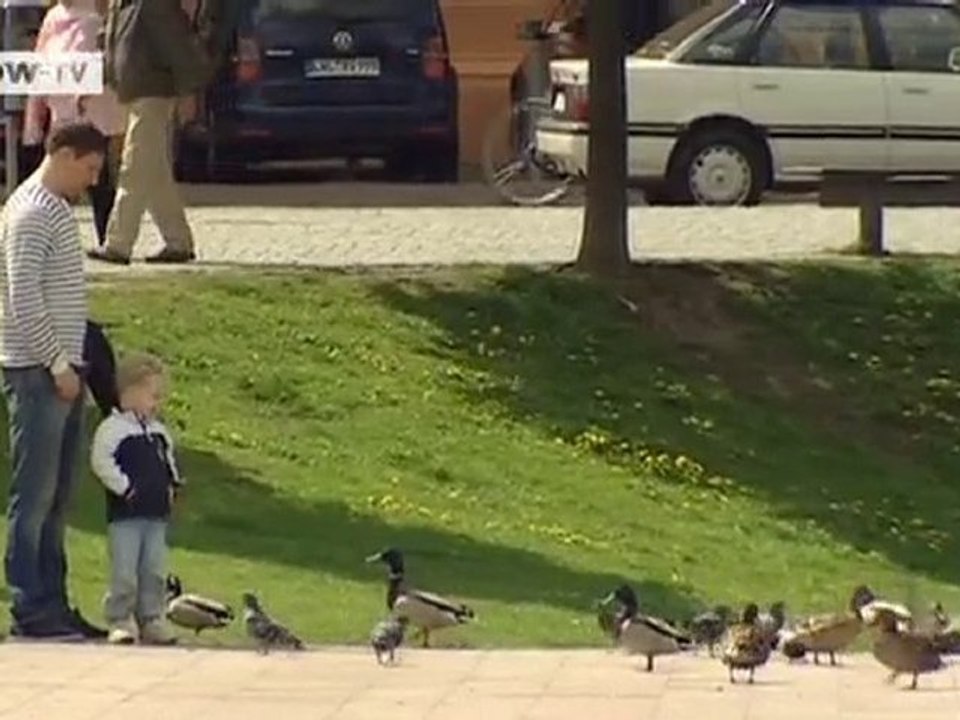 Happy Birthday Schwerin | Video of the day