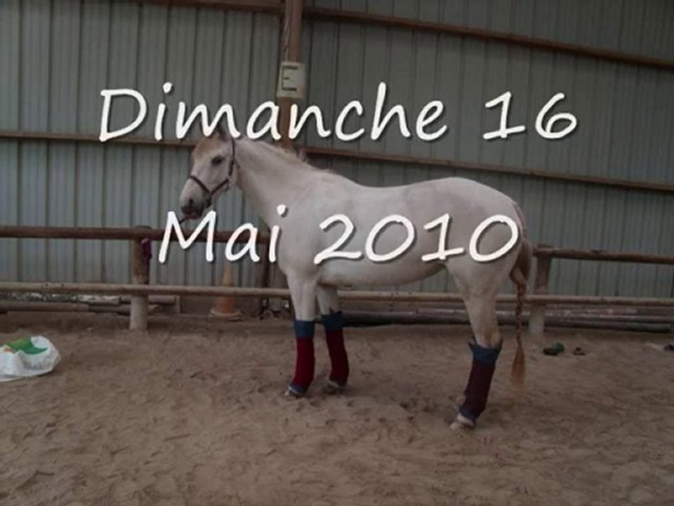 Moi Et Oups ♥♥♥♥♥♥