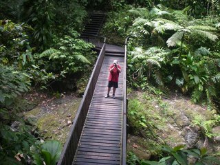 Mon voyage en Guadeloupe 2010