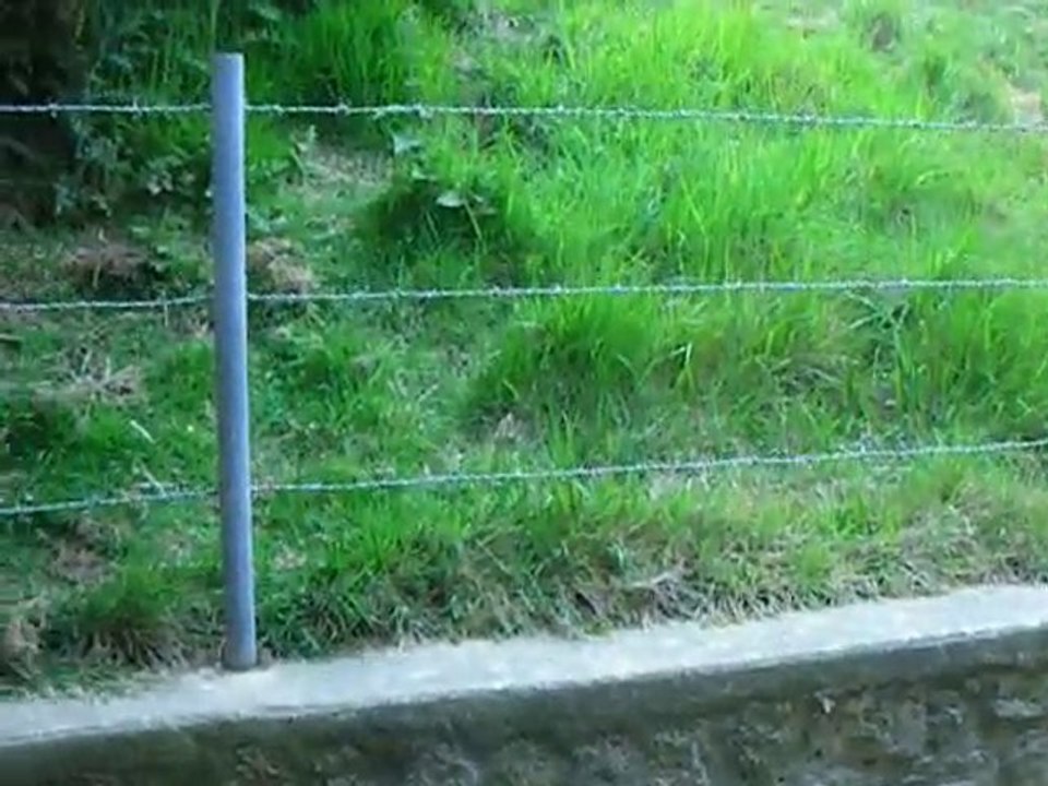 Plage du Débarquement - Normandie - 25 mai 2010