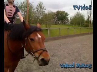 TVidos 002