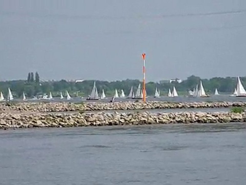 Rhein-Regatta