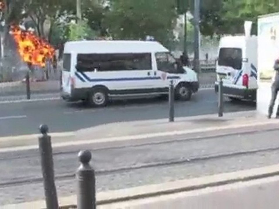 Feu à la girafe