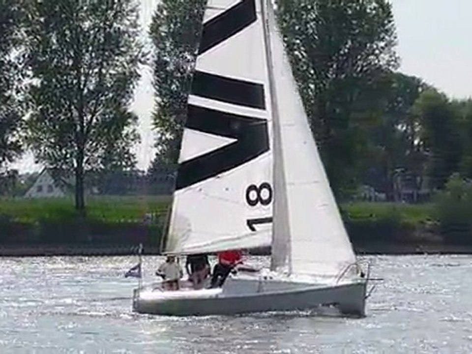 Rhein-Regatta