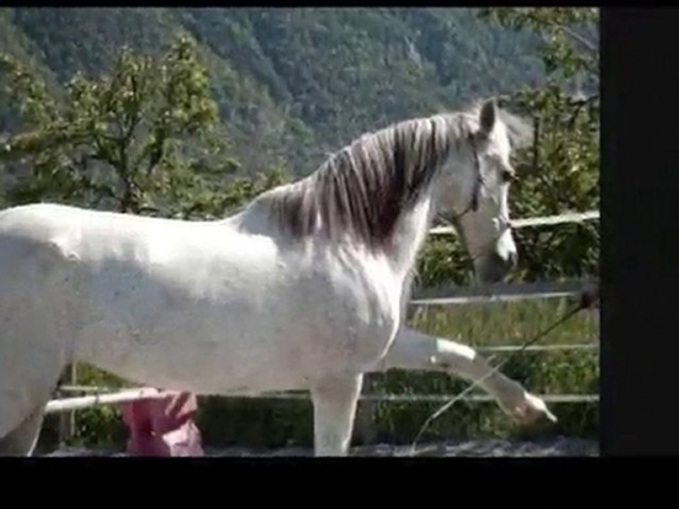 Mi mai 2010