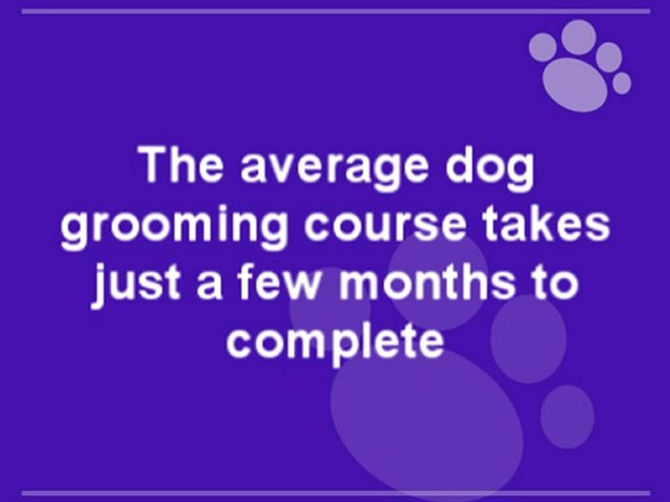dog grooming business statistics