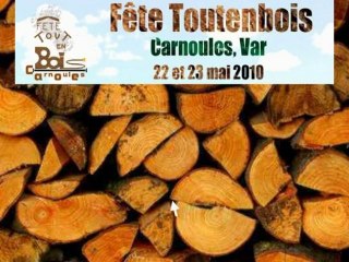 Fête Toutenbois à CARNOULES dans le VAR