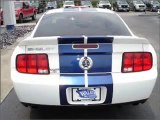 2007 Ford Mustang for sale in Clearwater FL - Used Ford ...