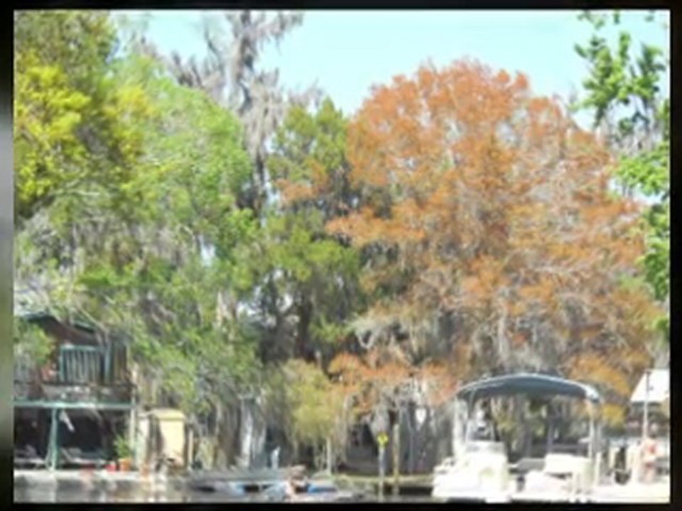From Weeki Wachee River into the Gulf of Mexico