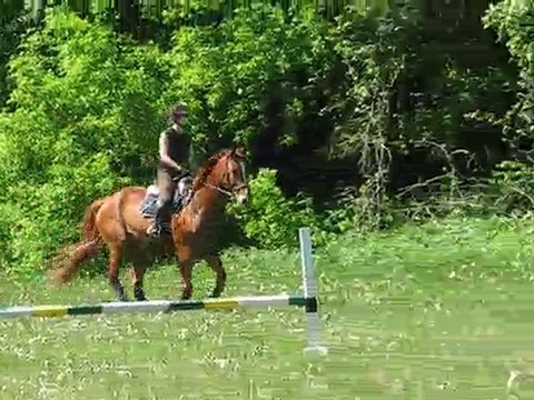 Arlington cours du 21 mai 2010 -1