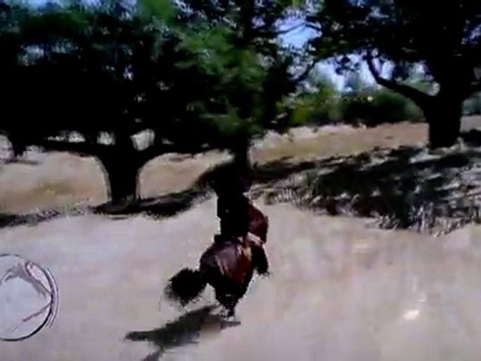 red dead redemption gameplay