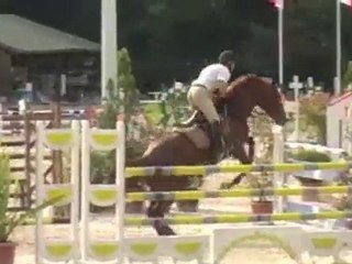 quabri de coquerie, Pamphile X Quiniou X Quidam