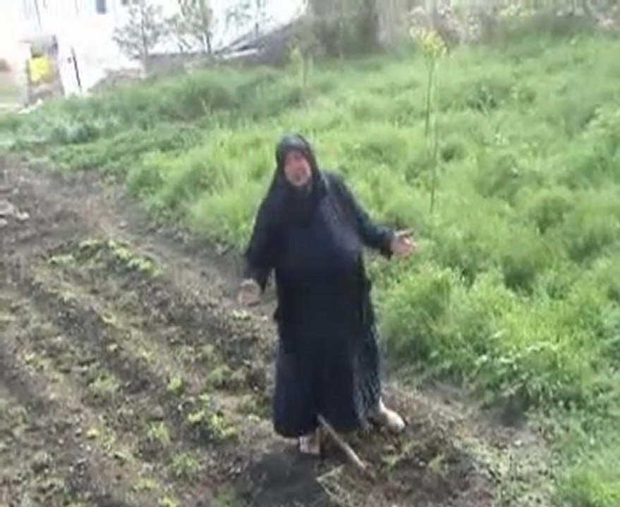 Gölova İlçeler yarışıyor programı için yorumlar