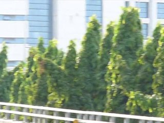 Journalists under fire in Bangkok