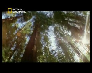 Aux frontières de la science eruption solaire3