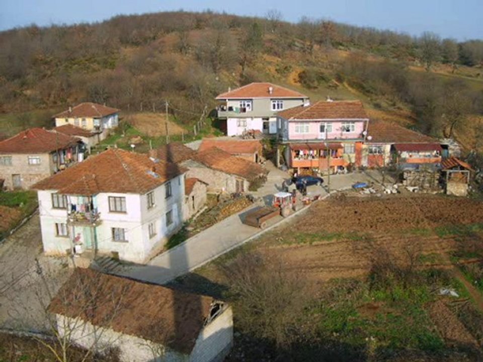 mudarli
