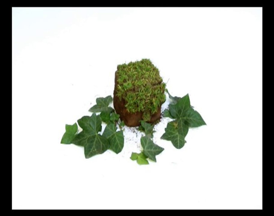 Ateliers du Carrousel : Workshop vidéo du cycle de 3 ans