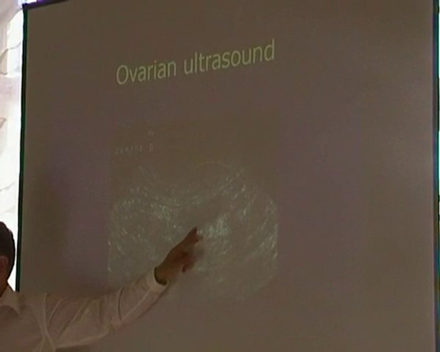 Pathology of the ovaries and of the utherus in the bitch 2